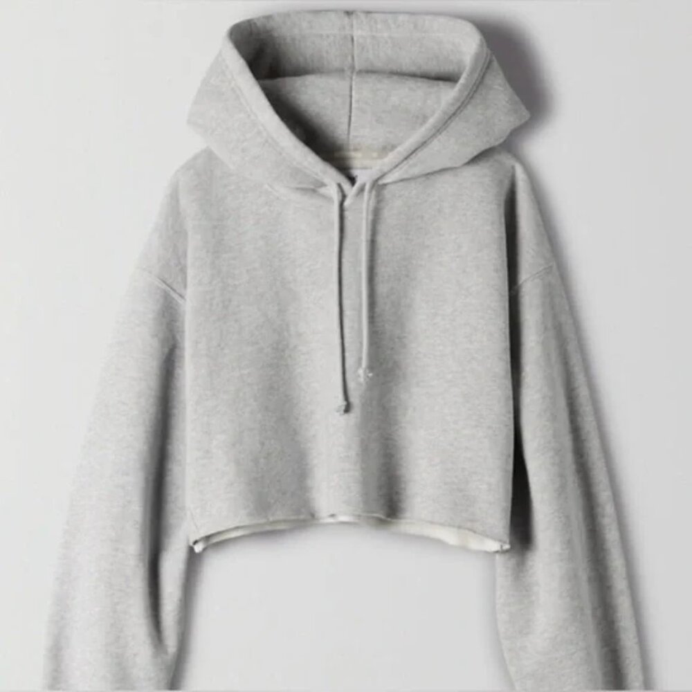 Aritzia TNA Cropped Hoodie